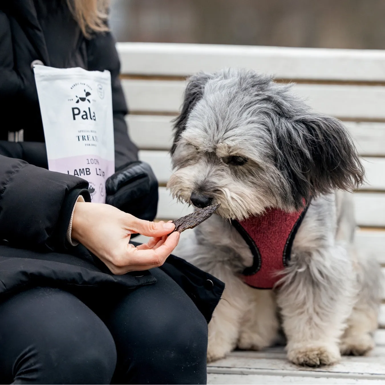 100% Lamb liver dog treats