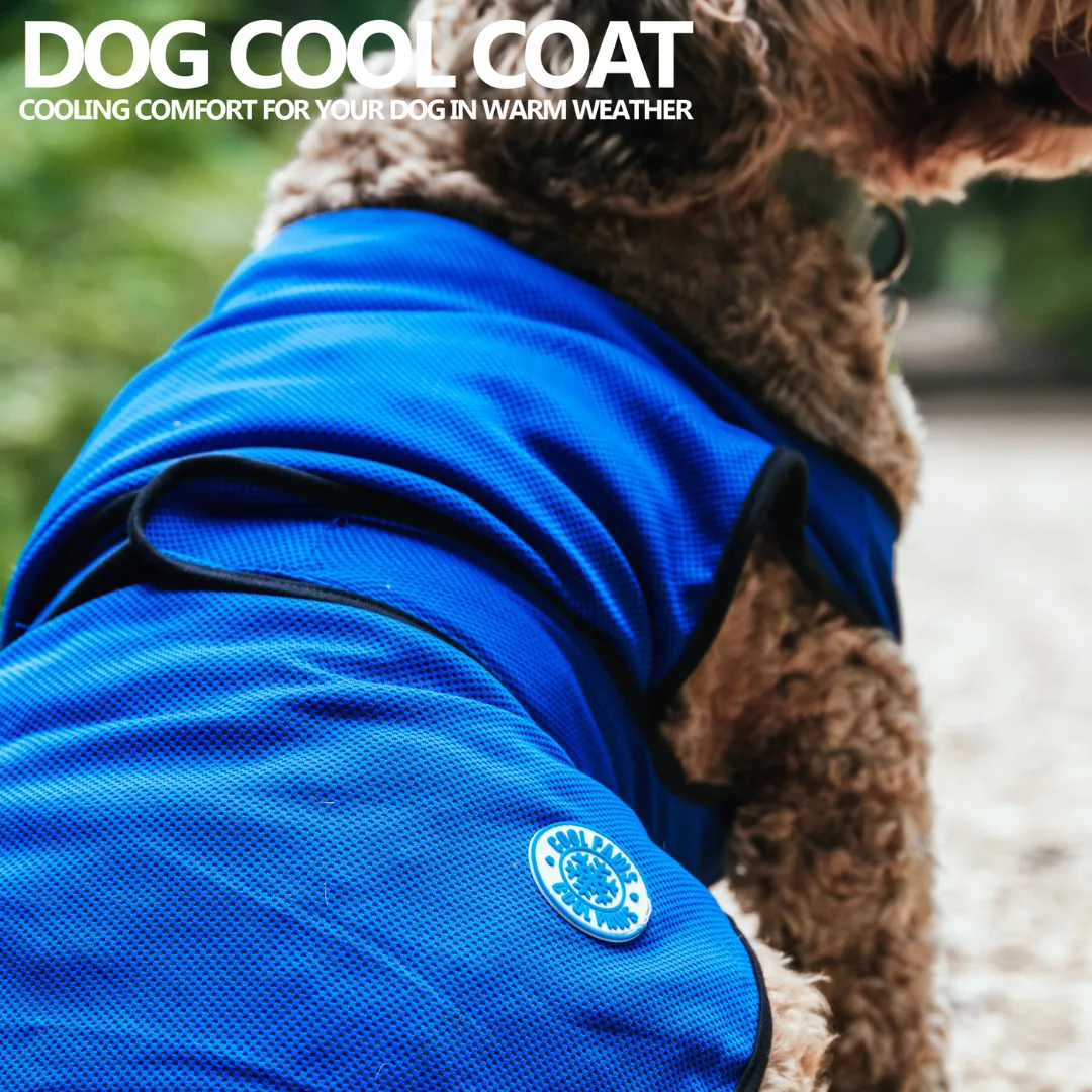 Ancol Cooling Vest