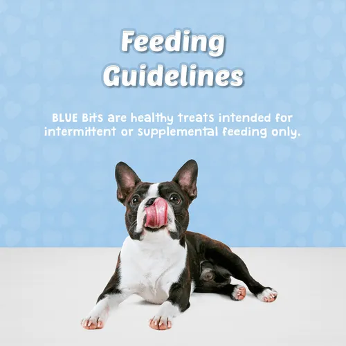 BLUE Bits Soft-Moist Training Treats; Tasty Chicken Recipe