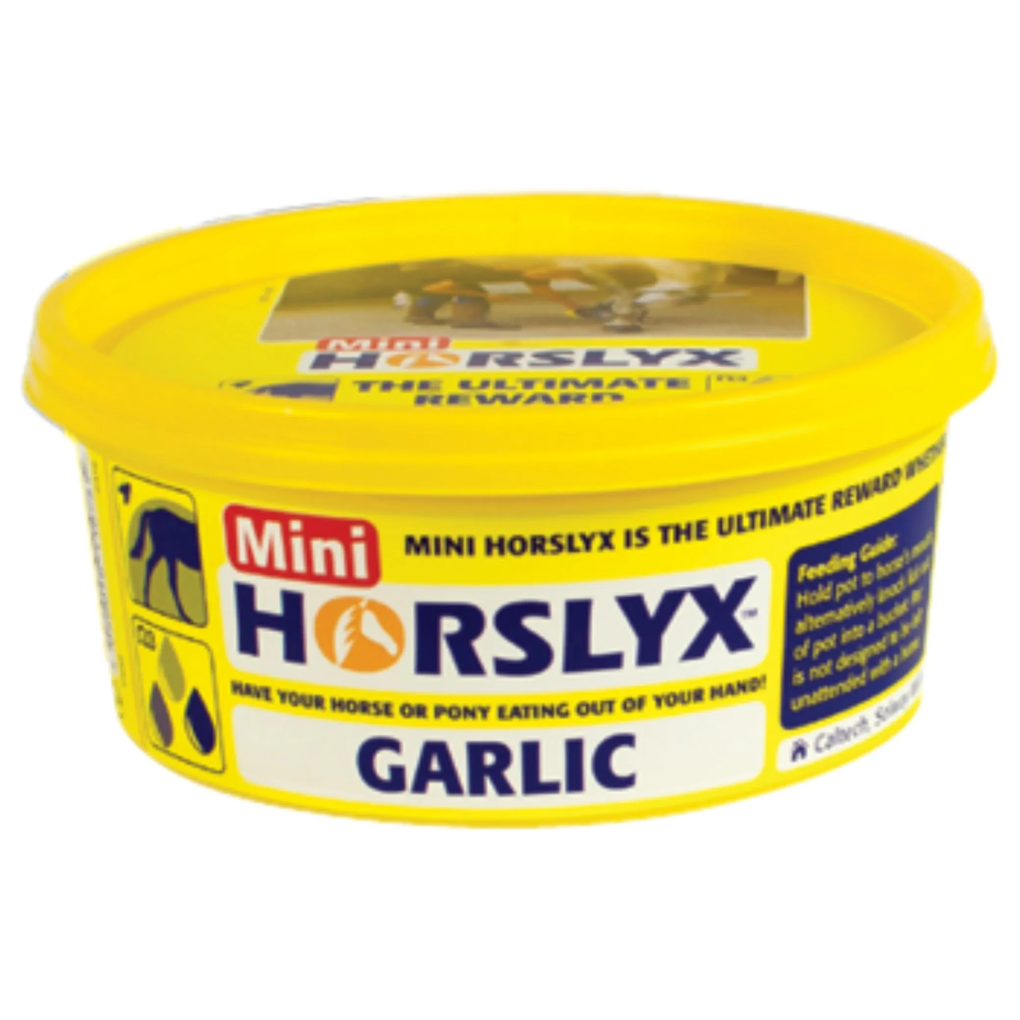 Horslyx Garlic Vitamin Mineral Lick