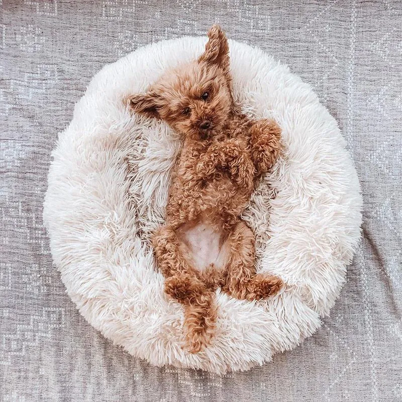 Plush Dog Bed - Extra Fluff