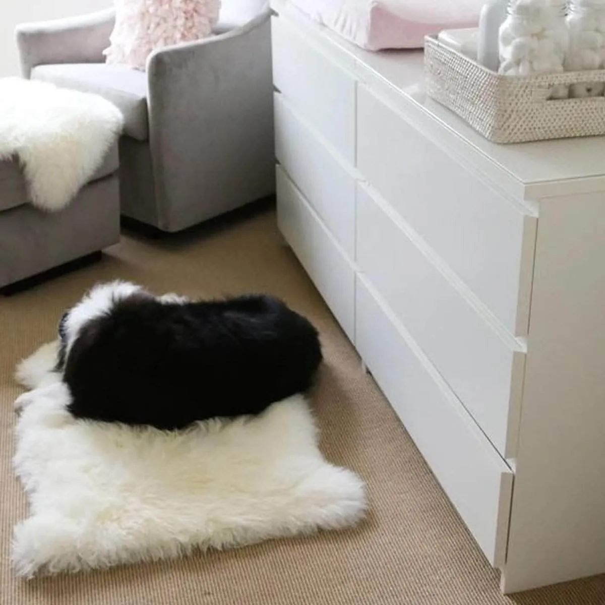 PREMIUM Sheepskin Wool Rug