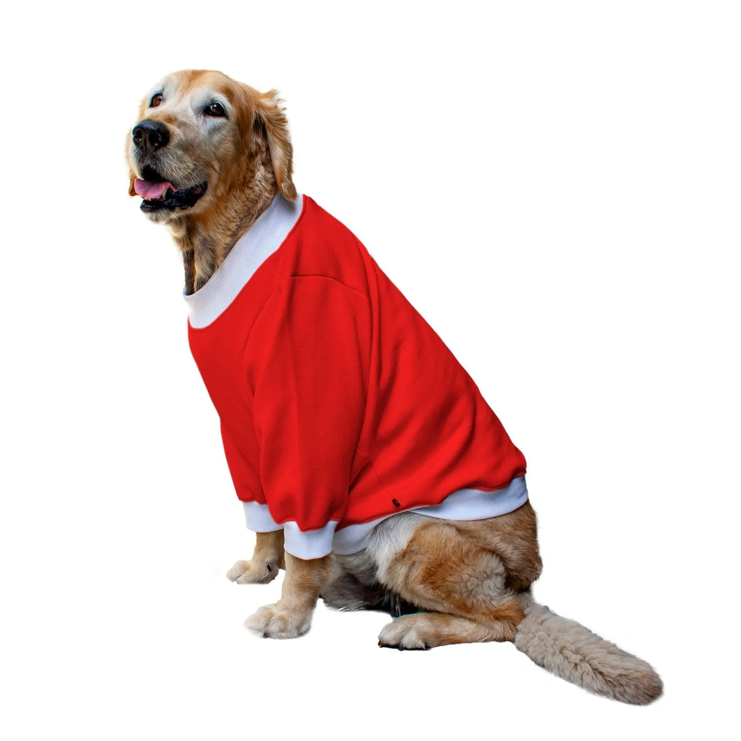 Ruse 'Basics' "Doge" Printed Crew Neck Full Sleeve Sweatshirt For Dogs