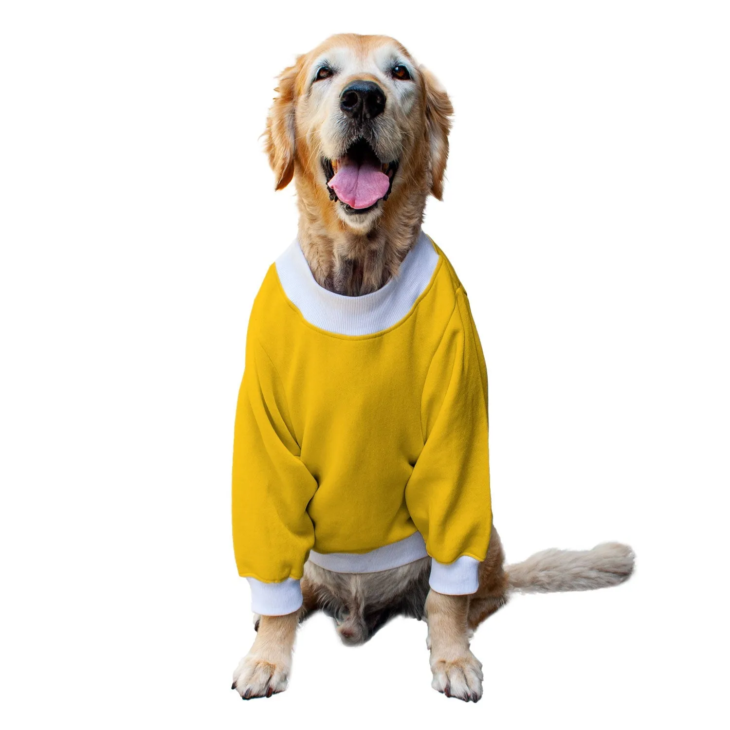 Ruse 'Basics' "Doge" Printed Crew Neck Full Sleeve Sweatshirt For Dogs