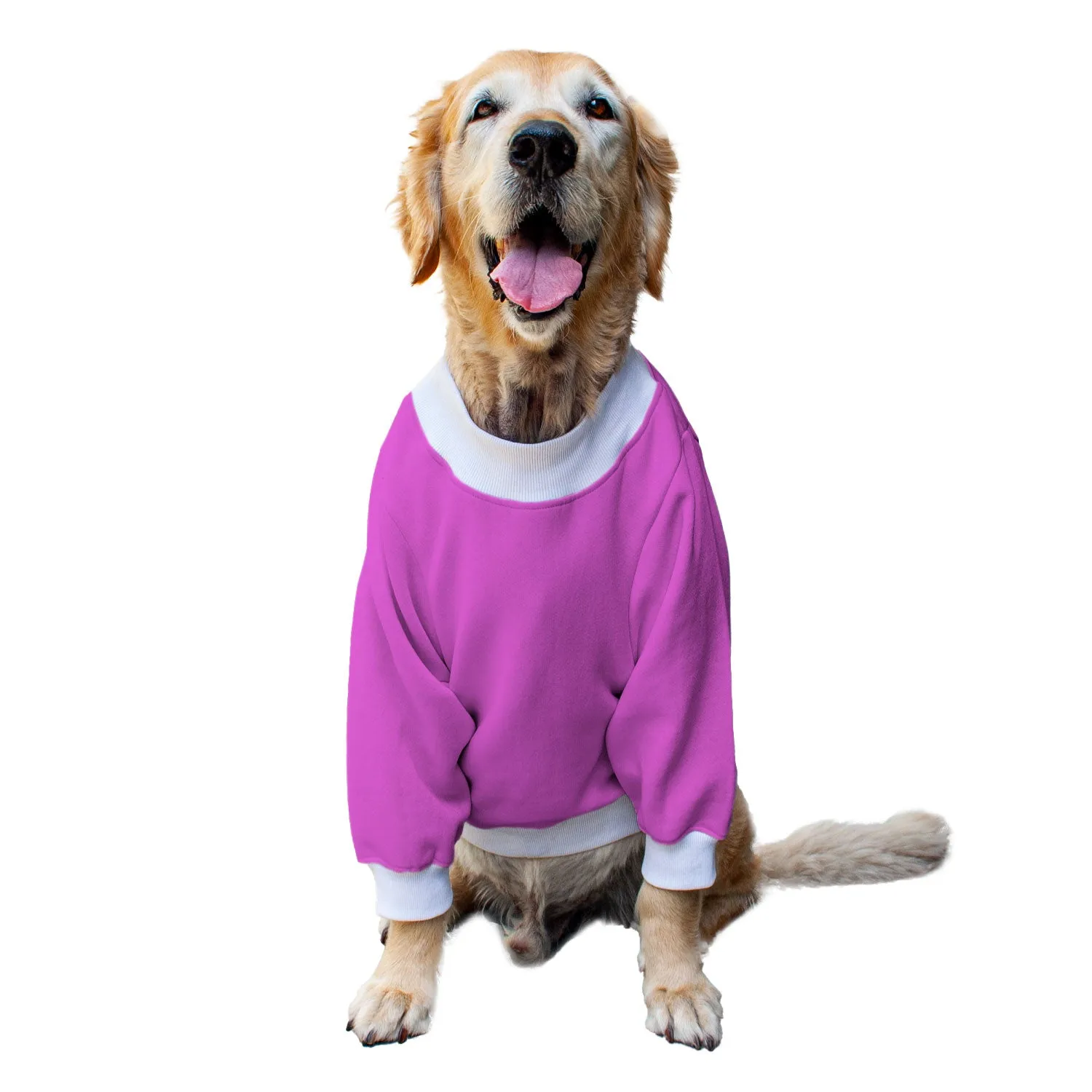 Ruse 'Basics' "Doge" Printed Crew Neck Full Sleeve Sweatshirt For Dogs