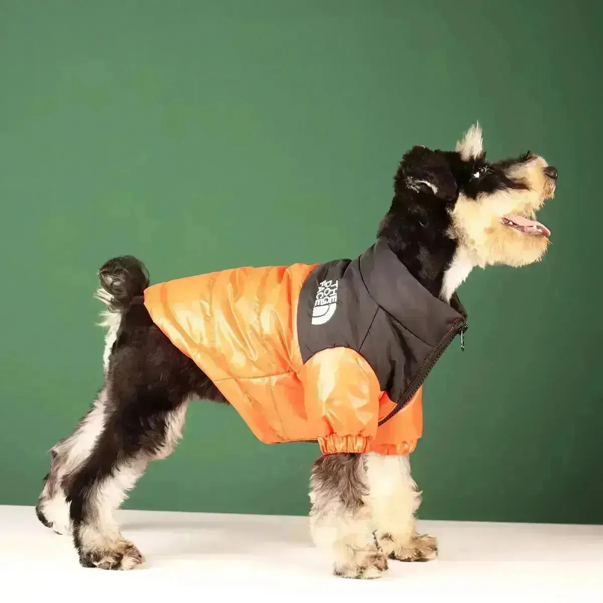 The Dog Face Jacket - Type A