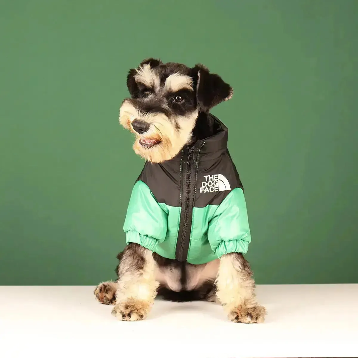 The Dog Face Jacket - Type A