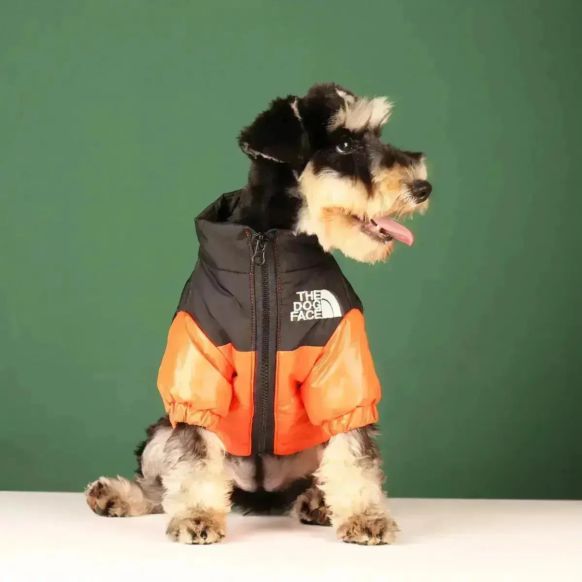 The Dog Face Jacket - Type A