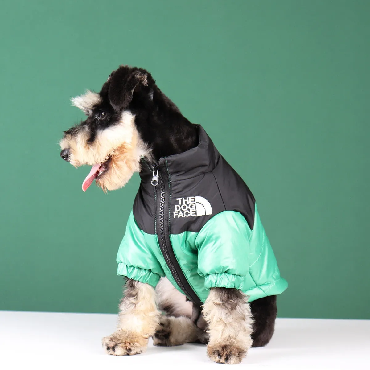 The Dog Face Jacket - Type A