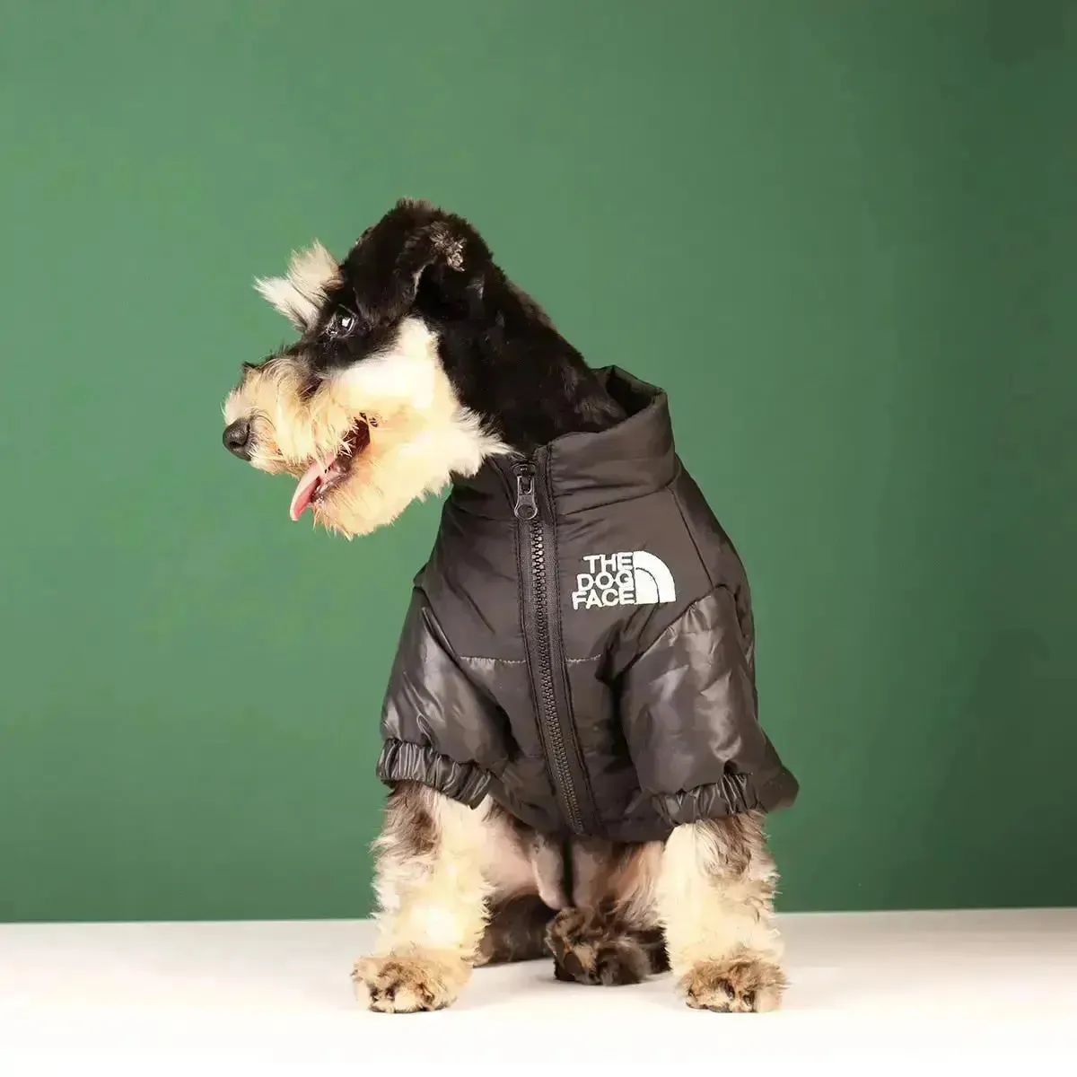 The Dog Face Jacket - Type A