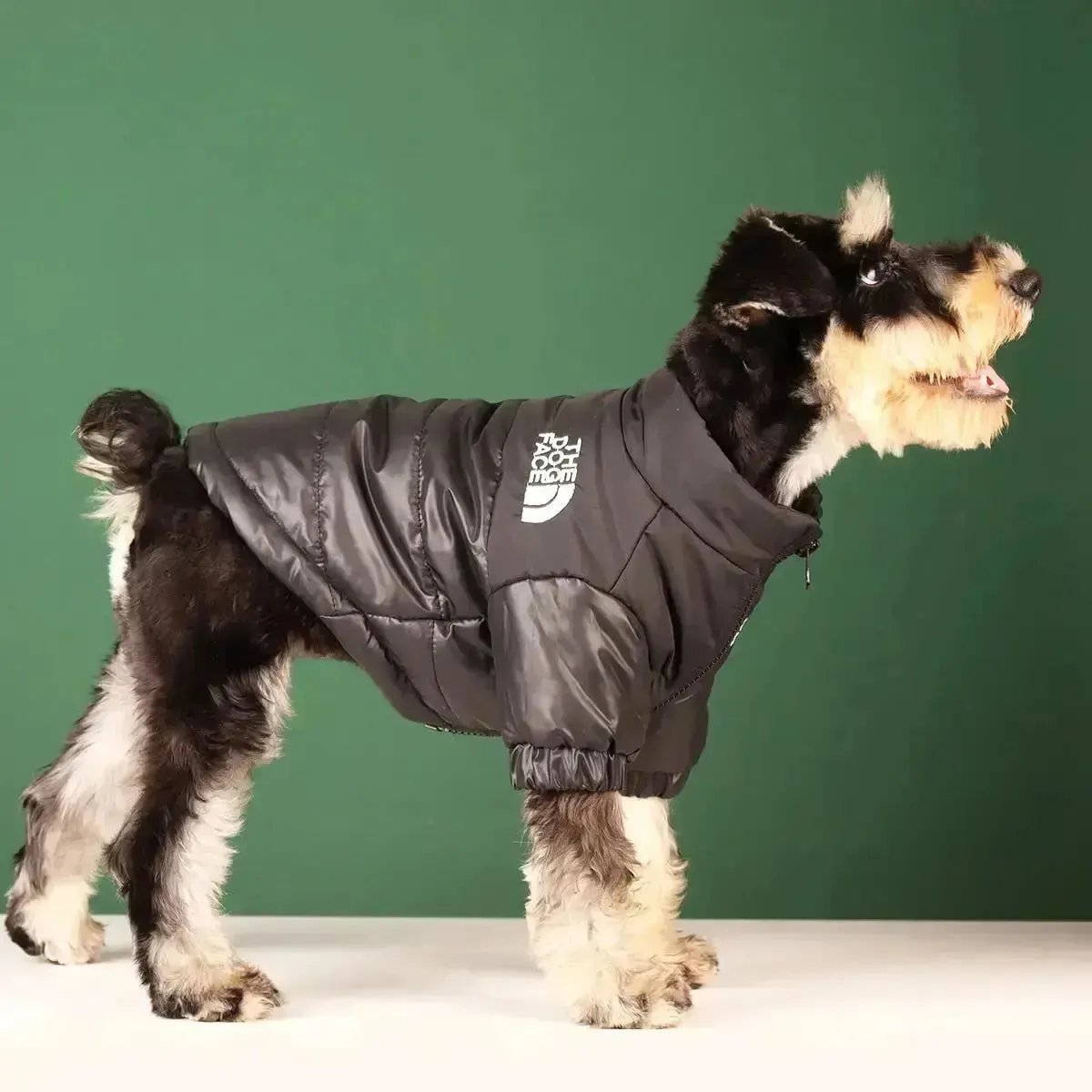 The Dog Face Jacket - Type A