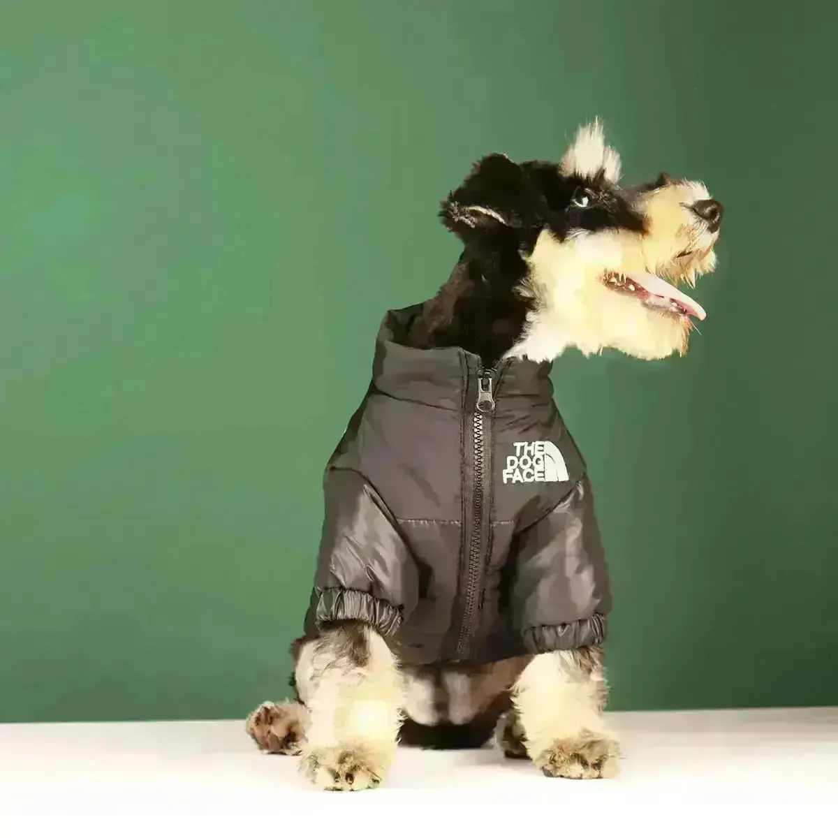 The Dog Face Jacket - Type A