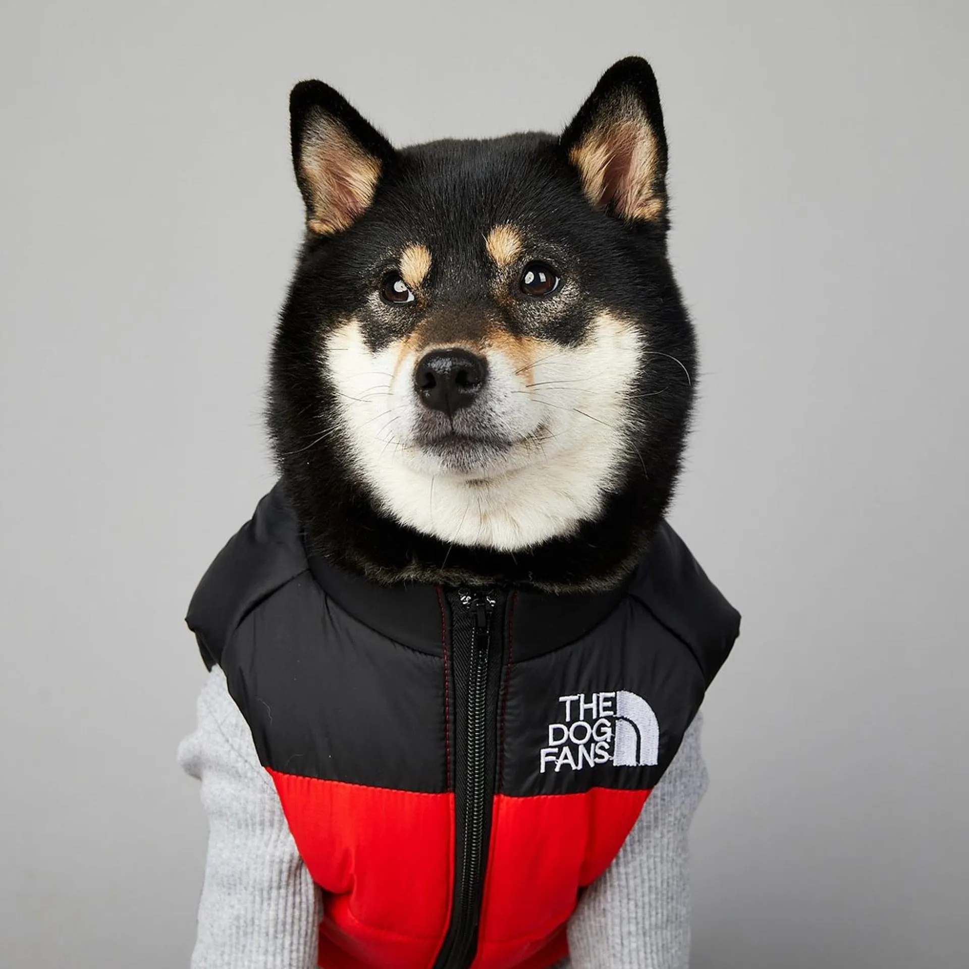 The Dog Face Vest