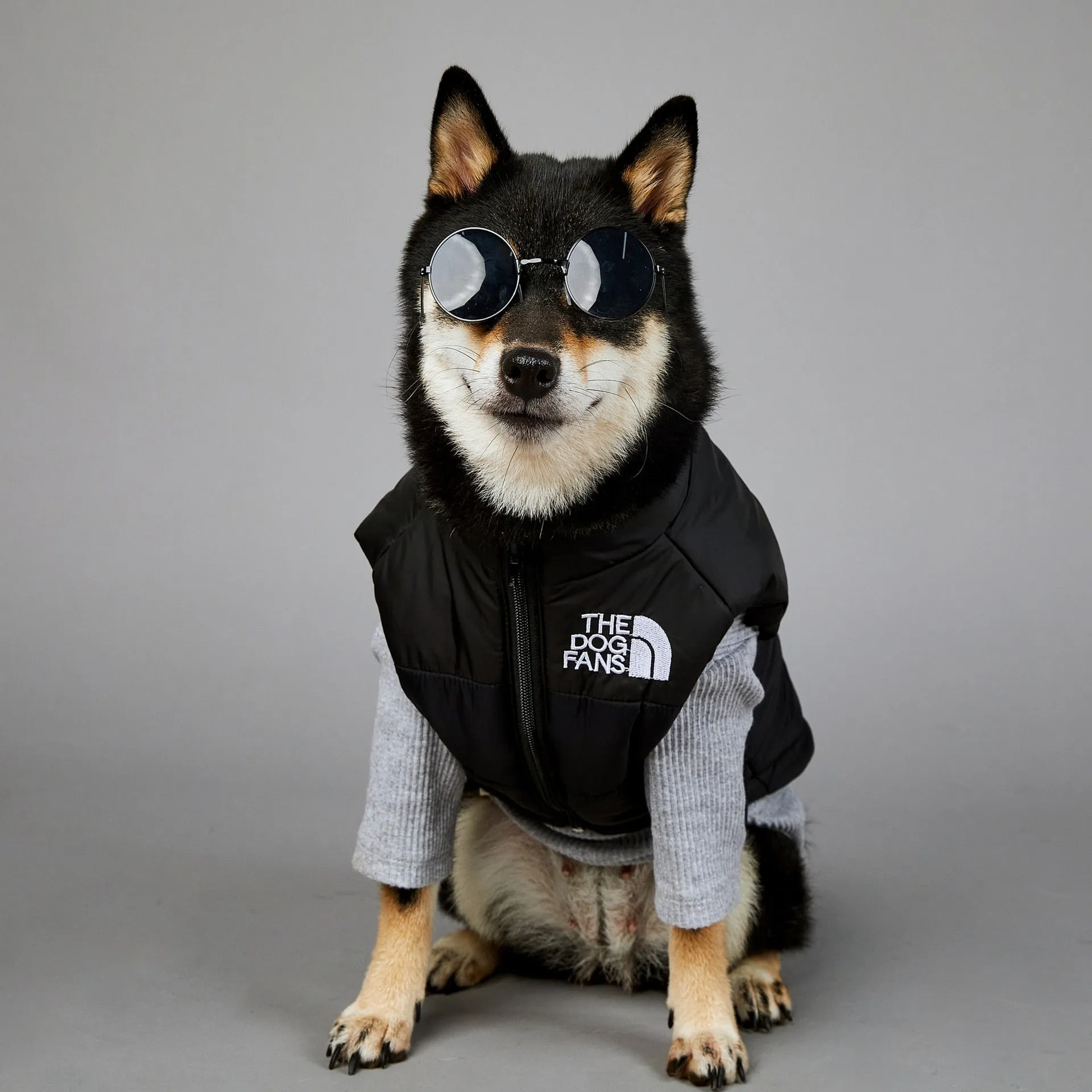 The Dog Face Vest