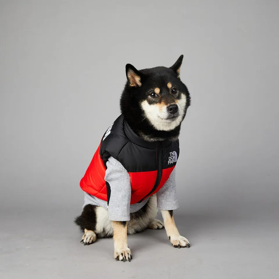 The Dog Face Vest