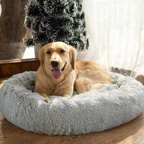 The Ultimate Orthopedic Soothing Pet Bed - Chew proof indestructible large dog & cat bed